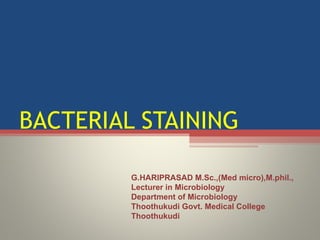BACTERIAL STAINING G.HARIPRASAD M.Sc.,(Med micro),M.phil., Lecturer in Microbiology  Department of Microbiology  Thoothukudi Govt. Medical College  Thoothukudi 
