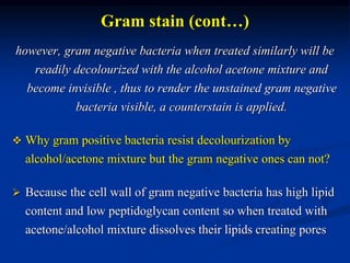 Gram stain (cont…) 
however, gram negative bacteria when treated similarly will be 
readily decolourized with the alcohol acetone mixture and 
become invisible , thus to render the unstained gram negative 
bacteria visible, a counterstain is applied. 
 Why gram positive bacteria resist decolourization by 
alcohol/acetone mixture but the gram negative ones can not? 
 Because the cell wall of gram negative bacteria has high lipid 
content and low peptidoglycan content so when treated with 
acetone/alcohol mixture dissolves their lipids creating pores 
 