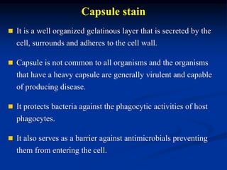 Capsule stain 
 It is a well organized gelatinous layer that is secreted by the 
cell, surrounds and adheres to the cell wall. 
 Capsule is not common to all organisms and the organisms 
that have a heavy capsule are generally virulent and capable 
of producing disease. 
 It protects bacteria against the phagocytic activities of host 
phagocytes. 
 It also serves as a barrier against antimicrobials preventing 
them from entering the cell. 
 