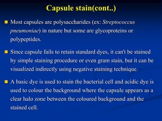Capsule stain(cont..) 
 Most capsules are polysaccharides (ex: Streptococcus 
pneumoniae) in nature but some are glycoproteins or 
polypeptides. 
 Since capsule fails to retain standard dyes, it can't be stained 
by simple staining procedure or even gram stain, but it can be 
visualized indirectly using negative staining technique. 
 A basic dye is used to stain the bacterial cell and acidic dye is 
used to colour the background where the capsule appears as a 
clear halo zone between the coloured background and the 
stained cell. 
 
