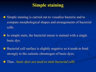 Simple staining 
 Simple staining is carried out to visualize bacteria and to 
compare morphological shapes and arrangements of bacterial 
cells. 
 In simple stain, the bacterial smear is stained with a single 
basic dye. 
 Bacterial cell surface is slightly negative so it tends to bind 
strongly to the cationic chromogen of basic dyes. 
 Thus , basic dyes are used to stain bacterial cells 
 