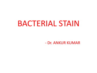 BACTERIAL STAIN
- Dr. ANKUR KUMAR
 