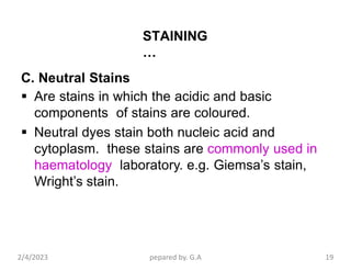 Useb Neutral Identification Bacterial staining.pptx