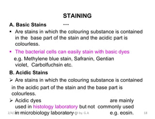 Bacterial staining.pptx