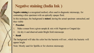 bacterial staining.pptx and its types in detail | PPTX