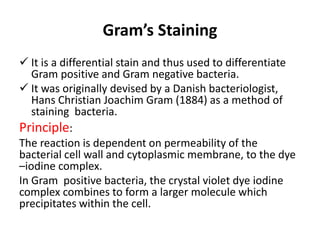 Gram’s Staining
 It is a differential stain and thus used to differentiate
Gram positive and Gram negative bacteria.
 It was originally devised by a Danish bacteriologist,
Hans Christian Joachim Gram (1884) as a method of
staining bacteria.
Principle:
The reaction is dependent on permeability of the
bacterial cell wall and cytoplasmic membrane, to the dye
–iodine complex.
In Gram positive bacteria, the crystal violet dye iodine
complex combines to form a larger molecule which
precipitates within the cell.
 