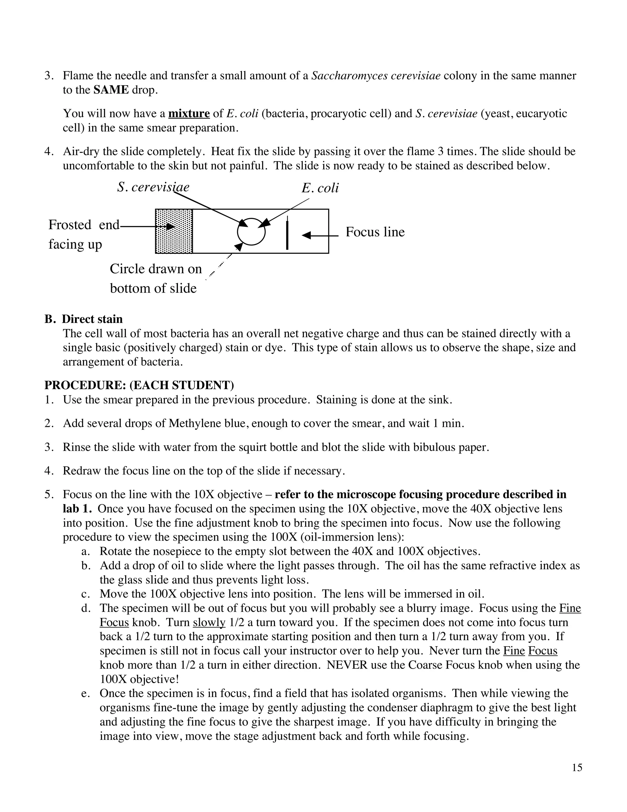 Bacterial Staining Techniques Pdf