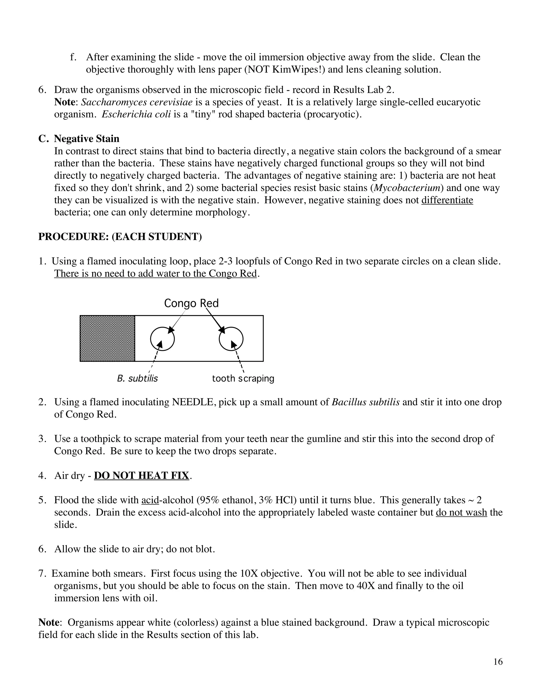 Bacterial Staining Techniques Pdf