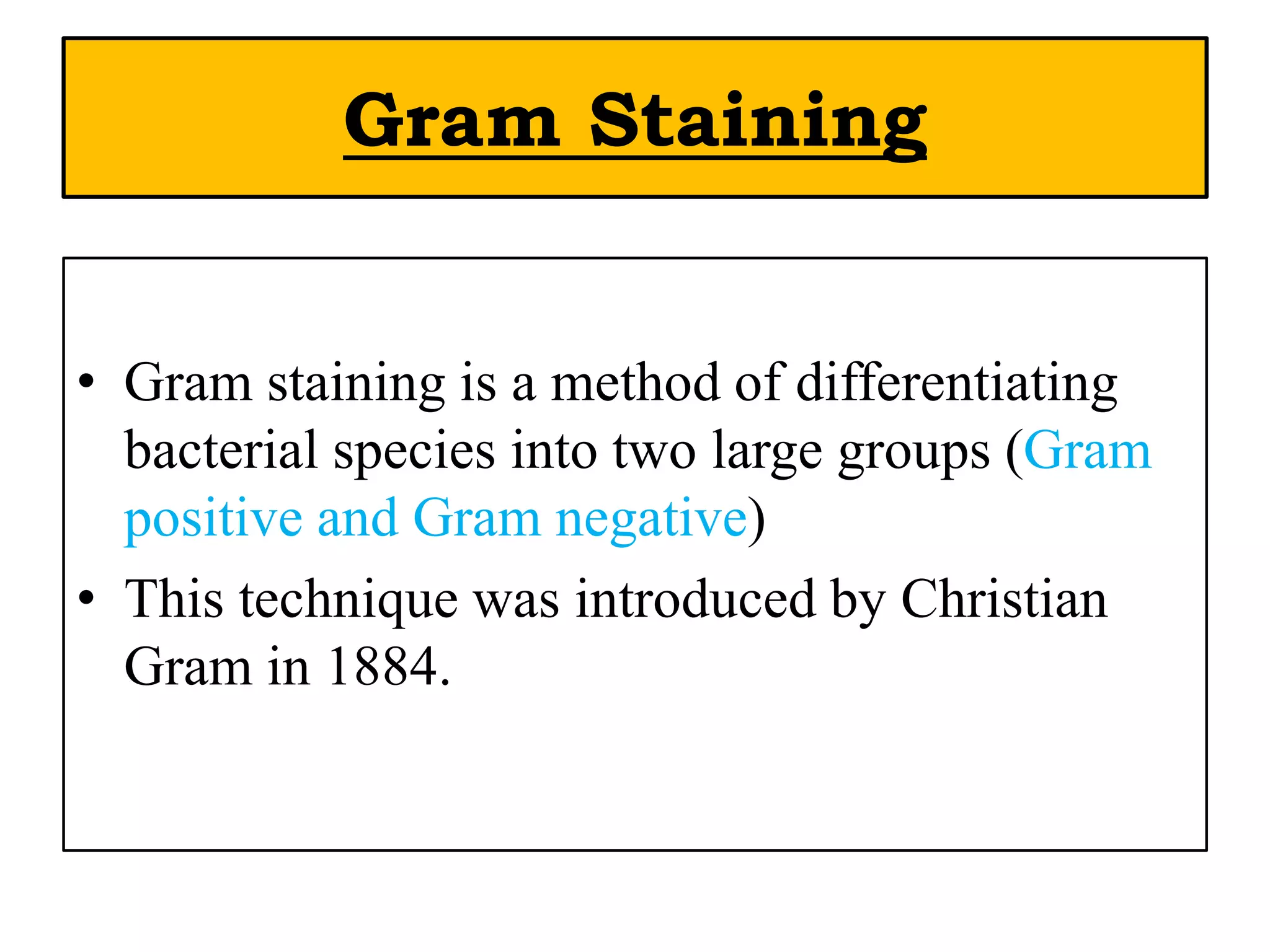 Bacterial Staining Techniques | PPTX