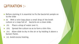 FIXATION :-
 Before staining it is essential to fix the bacterial sample on
to the slide
 (i) With a wire loop place a small drop of the broth
culture or a loop full of bacteria on a clean slide.
 (ii) Place a drop of water over it.
 (iii) Spread the culture so as to form a thin film.
 (iv) Allow slide to dry in the air or by holding it above a
bunsen flame.
 (v) Avoid excess heating.
 