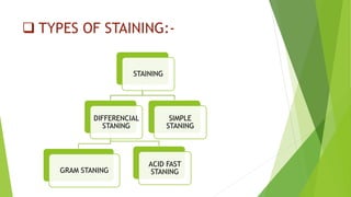  TYPES OF STAINING:-
STAINING
DIFFERENCIAL
STANING
GRAM STANING
ACID FAST
STANING
SIMPLE
STANING
 