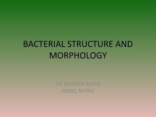 BACTERIAL STRUCTURE AND
MORPHOLOGY
DR SHIREEN RAFIQ
MBBS, M.Phil
 