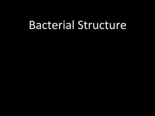 Bacterial Structure
 