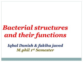 Bacterial structures
and their functions
Iqbal Danish & fakiha javed
M.phil 1st Semester
 