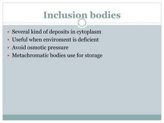 Inclusion bodies
 Several kind of deposits in cytoplasm
 Useful when enviroment is deficient
 Avoid osmotic pressure
 Metachromatic bodies use for storage
 