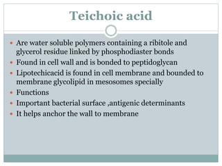 Teichoic acid
 Are water soluble polymers containing a ribitole and
glycerol residue linked by phosphodiaster bonds
 Found in cell wall and is bonded to peptidoglycan
 Lipotechicacid is found in cell membrane and bounded to
membrane glycolipid in mesosomes specially
 Functions
 Important bacterial surface ,antigenic determinants
 It helps anchor the wall to membrane
 
