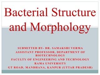 SUBMITTED BY- DR. SAMAKSHI VERMA
ASSISTANT PROFESSOR, DEPARTMENT OF
BIOTECHNOLOGY
FACULTY OF ENGINEERING AND TECHNOLOGY
RAMA UNIVERSITY
GT ROAD, MANDHANA, KANPUR (UTTAR PRADESH)
Bacterial Structure
and Morphology
 