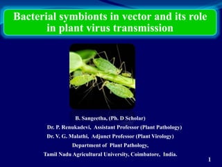 Bacterial symbionts in vector and its role
in plant virus transmission
1
B. Sangeetha, (Ph. D Scholar)
Dr. P. Renukadevi, Assistant Professor (Plant Pathology)
Dr. V. G. Malathi, Adjunct Professor (Plant Virology)
Department of Plant Pathology,
Tamil Nadu Agricultural University, Coimbatore, India.
 