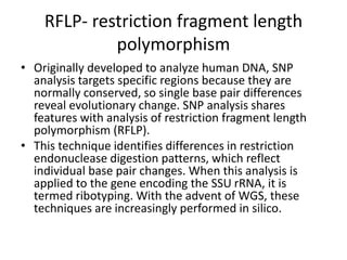 bacterial systematics in the diversity of bacteria | PPTX