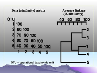 OTU = operational taxonomic unit

 