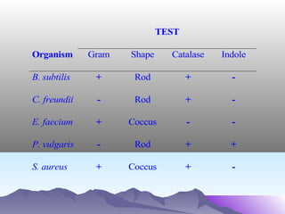 TEST
Organism

Gram

Shape

Catalase

Indole

B. subtilis

+

Rod

+

-

C. freundii

-

Rod

+

-

E. faecium

+

Coccus

-

-

P. vulgaris

-

Rod

+

+

S. aureus

+

Coccus

+

-

 