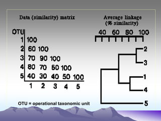 OTU = operational taxonomic unit
 