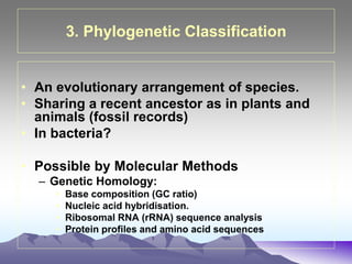 3. Phylogenetic Classification
• An evolutionary arrangement of species.
• Sharing a recent ancestor as in plants and
animals (fossil records)
• In bacteria?
• Possible by Molecular Methods
– Genetic Homology:
• Base composition (GC ratio)
• Nucleic acid hybridisation.
• Ribosomal RNA (rRNA) sequence analysis
• Protein profiles and amino acid sequences
 