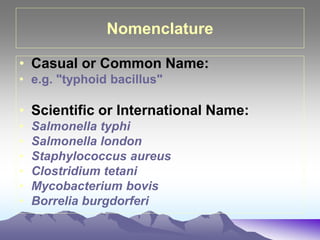 Nomenclature
• Casual or Common Name:
• e.g. "typhoid bacillus"
• Scientific or International Name:
• Salmonella typhi
• Salmonella london
• Staphylococcus aureus
• Clostridium tetani
• Mycobacterium bovis
• Borrelia burgdorferi
 