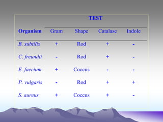 TEST
Organism Gram Shape Catalase Indole
B. subtilis + Rod + -
C. freundii - Rod + -
E. faecium + Coccus - -
P. vulgaris - Rod + +
S. aureus + Coccus + -
 