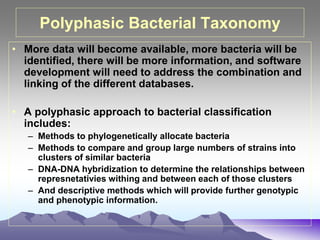 Polyphasic Bacterial Taxonomy
• More data will become available, more bacteria will be
identified, there will be more information, and software
development will need to address the combination and
linking of the different databases.
• A polyphasic approach to bacterial classification
includes:
– Methods to phylogenetically allocate bacteria
– Methods to compare and group large numbers of strains into
clusters of similar bacteria
– DNA-DNA hybridization to determine the relationships between
represnetativies withing and between each of those clusters
– And descriptive methods which will provide further genotypic
and phenotypic information.
 