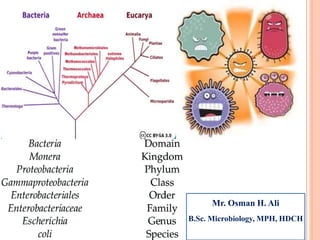 Mr. Osman H. Ali
B.Sc. Microbiology, MPH, HDCH
 