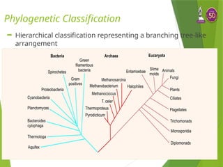 classification of bacteria bacterial taxonomy.pptx