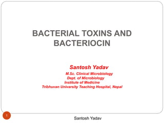 Santosh Yadav
BACTERIAL TOXINS AND
BACTERIOCIN
Santosh Yadav
M.Sc. Clinical Microbiology
Dept. of Microbiology
Institute of Medicine
Tribhuvan Univarsity Teaching Hospital, Nepal
1
 
