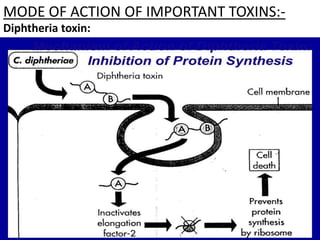 MODE OF ACTION OF IMPORTANT TOXINS:-
Diphtheria toxin:
 