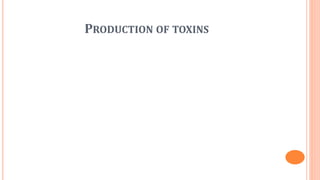PRODUCTION OF TOXINS
 