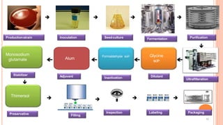 Alum
12
Productionstrain Seedculture Fermentation Purification
Adjuvant
Filling
Labeling Packaging



Inoculation
Inspection


Ultrafilteration

Glycine
soln
Formaldehyde solnMonosodium
glutamate
Inactivation
Thimersol


Stabilizer
Preservative
Dilutant
 