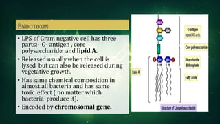 ENDOTOXIN
• LPS of Gram negative cell has three
parts:- O- antigen , core
polysaccharide and lipid A.
• Released usuallywhen the cell is
lysed but can also be released during
vegetative growth.
• Has same chemical composition in
almost all bacteria and has same
toxic effect ( no matter which
bacteria produce it).
• Encoded by chromosomal gene.
 