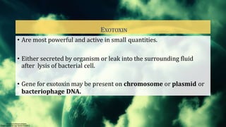 EXOTOXIN
• Are most powerful and active in small quantities.
• Either secreted by organism or leak into the surrounding fluid
after lysis of bacterial cell.
• Gene for exotoxin may be present on chromosome or plasmid or
bacteriophage DNA.
 