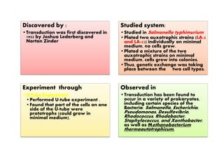 Discovered by :
•Transduction was first discovered in
1952 by Joshua Lederberg and
Norton Zinder
Studied system:
•Studied in Salmonella typhimurium
•Plated two auxotrophic strains (LA-2
and LA-22) individually on minimal
medium, no cells grew.
•Plated a mixture of the two
auxotrophic strains on minimal
medium, cells grew into colonies.
•Thus, genetic exchange was taking
place between the two cell types.
Experiment through
•U-tube Experiment
•Performed U-tube experiment .
•Found that part of the cells on one
side of the U-tube were
prototrophs (could grow in
minimal medium).
Observed in
•Transduction has been found to
occur in a variety of prokaryotes,
including certain species of the
Bacteria: Salmonella, Escherichia,
Pseudomonas, Desulfovibrio,
Rhodococcus, Rhodobacter,
Staphylococcus, and Xanthobacter,
as well as Methanobacterium
thermoautotrophicum.
 
