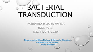 BACTERIAL
TRANSDUCTION
PRESENTED BY SAIRA FATIMA
ROLL NO:31
MSC 4 [2018-2020]
Department of MicroBiology & Molecular Genetics
University of the Punjab
Lahore, Pakistan
 