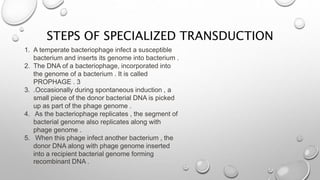 STEPS OF SPECIALIZED TRANSDUCTION
1. A temperate bacteriophage infect a susceptible
bacterium and inserts its genome into bacterium .
2. The DNA of a bacteriophage, incorporated into
the genome of a bacterium . It is called
PROPHAGE . 3
3. .Occasionally during spontaneous induction , a
small piece of the donor bacterial DNA is picked
up as part of the phage genome .
4. As the bacteriophage replicates , the segment of
bacterial genome also replicates along with
phage genome .
5. When this phage infect another bacterium , the
donor DNA along with phage genome inserted
into a recipient bacterial genome forming
recombinant DNA .
 