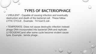 TYPES OF BACTERIOPHAGE
• VIRULENT : Capable of causing infection and eventually
destruction and death of the bacterial cell . These follow
LYTIC CYCLE . Example : T4 host E.coli .
• TEMPERATE: Does not cause destruptic infection instead
phage DNA incorporated into bacterial DNA and replicate
(LYSOGENIC)and after some cycle become virulent cause
lysis. Example : lamda phage .
 