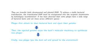 Bacterial transduction (Bacterial genetic recombination) | PPTX