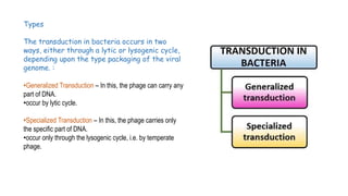 Bacterial transduction Bacterial genetic recombination PPT