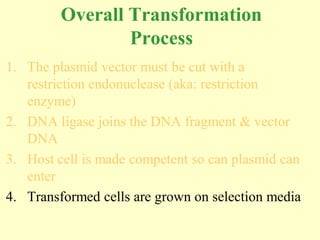 Overall Transformation
                 Process
1. The plasmid vector must be cut with a
   restriction endonuclease (aka: restriction
   enzyme)
2. DNA ligase joins the DNA fragment & vector
   DNA
3. Host cell is made competent so can plasmid can
   enter
4. Transformed cells are grown on selection media
 