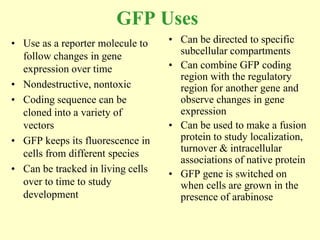 GFP Uses
• Use as a reporter molecule to    • Can be directed to specific
  follow changes in gene             subcellular compartments
  expression over time             • Can combine GFP coding
                                     region with the regulatory
• Nondestructive, nontoxic           region for another gene and
• Coding sequence can be             observe changes in gene
  cloned into a variety of           expression
  vectors                          • Can be used to make a fusion
• GFP keeps its fluorescence in      protein to study localization,
  cells from different species       turnover & intracellular
                                     associations of native protein
• Can be tracked in living cells   • GFP gene is switched on
  over to time to study              when cells are grown in the
  development                        presence of arabinose
 