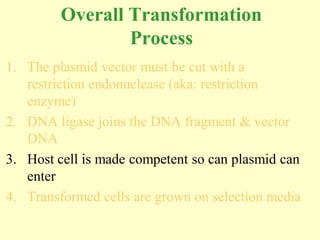 Overall Transformation
                 Process
1. The plasmid vector must be cut with a
   restriction endonuclease (aka: restriction
   enzyme)
2. DNA ligase joins the DNA fragment & vector
   DNA
3. Host cell is made competent so can plasmid can
   enter
4. Transformed cells are grown on selection media
 