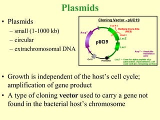 Plasmids
• Plasmids
  – small (1-1000 kb)
  – circular
  – extrachromosomal DNA



• Growth is independent of the host’s cell cycle;
  amplification of gene product
• A type of cloning vector used to carry a gene not
  found in the bacterial host’s chromosome
 