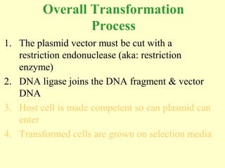 Overall Transformation
                 Process
1. The plasmid vector must be cut with a
   restriction endonuclease (aka: restriction
   enzyme)
2. DNA ligase joins the DNA fragment & vector
   DNA
3. Host cell is made competent so can plasmid can
   enter
4. Transformed cells are grown on selection media
 