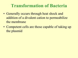 Transformation of Bacteria
• Generally occurs through heat shock and
  addition of a divalent cation to permeabilize
  the membrane
• Competent cells are those capable of taking up
  the plasmid
 
